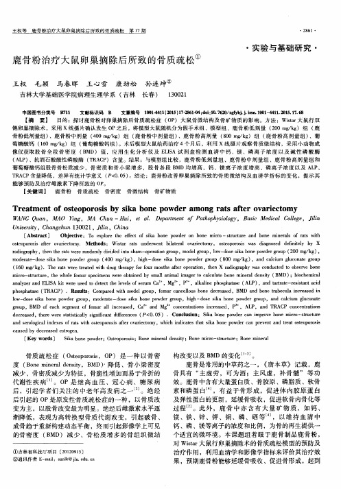 鹿骨粉治疗大鼠卵巢摘除后所致的骨质疏松