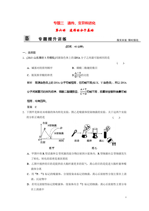 高三生物二轮新题提升训练 第六讲 遗传的分子基础(含13真题,含详解)