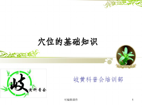 穴位的基础知识ppt课件