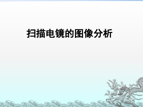 扫描电镜图像的分析PPT幻灯片