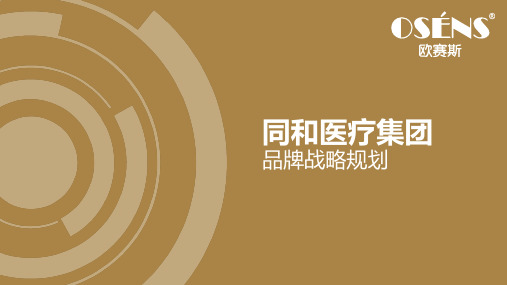 欧赛斯同和医疗集团品牌战略规划