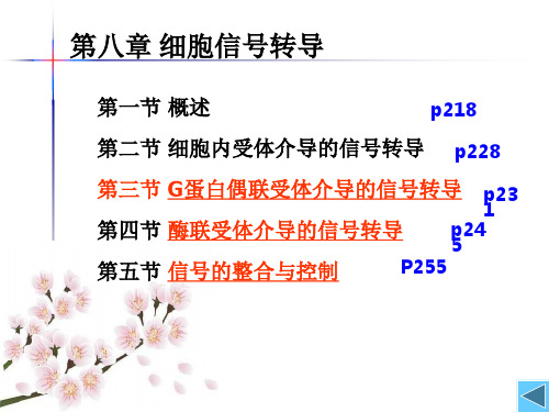 8细胞信号转导-2