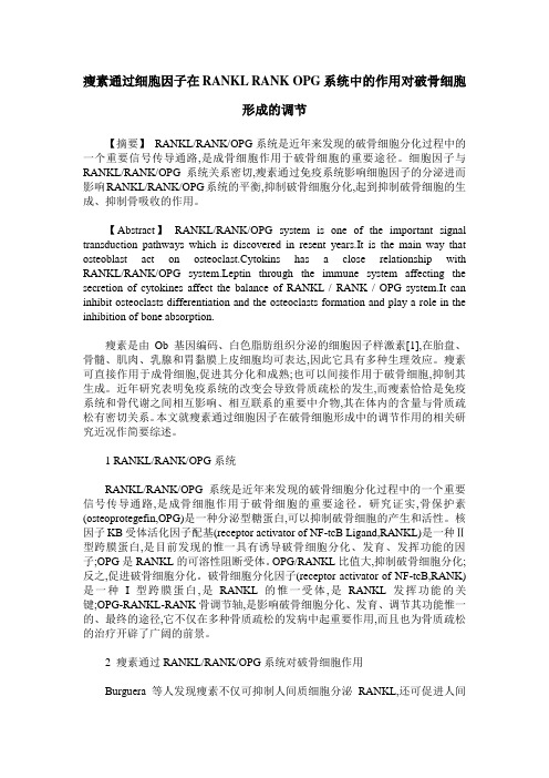 瘦素通过细胞因子在RANKL RANK OPG系统中的作用对破骨细胞形成的调节