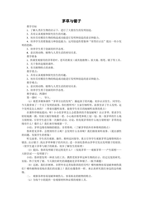 茅草与锯子