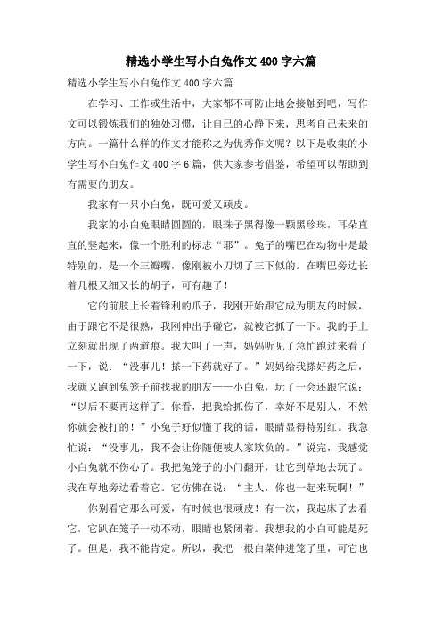 小学生写小白兔作文400字六篇