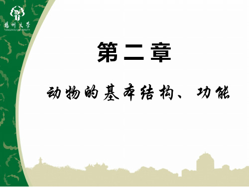 细胞、组织、器官和系统ppt课件