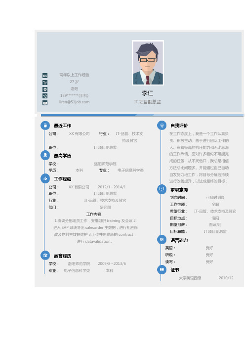 IT项目副总监求职简历模版