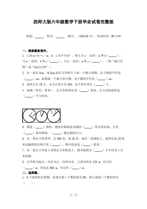 西师大版六年级数学下册毕业试卷完整版