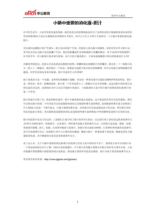小肠中重要的消化液-胆汁