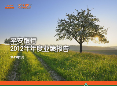 平安银行2012业绩年报