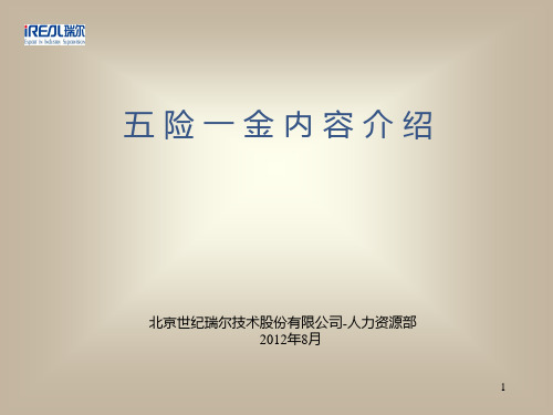 五险一金介绍 PPT课件