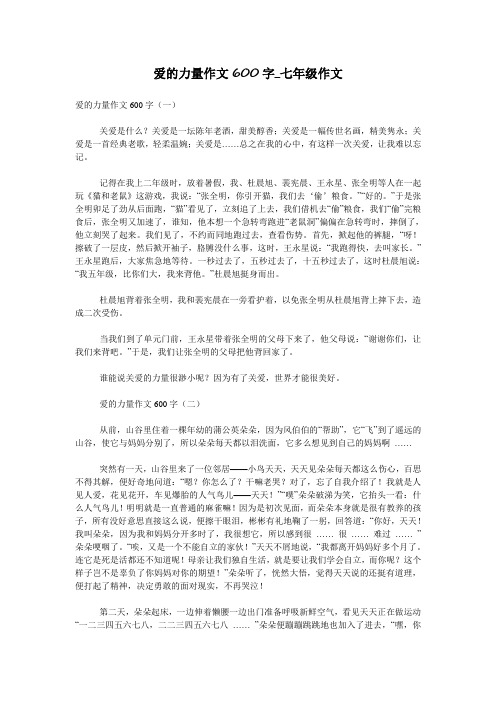 爱的力量作文600字_七年级作文