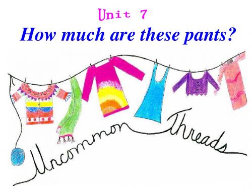 Unit 7 How much are these pants(2)
