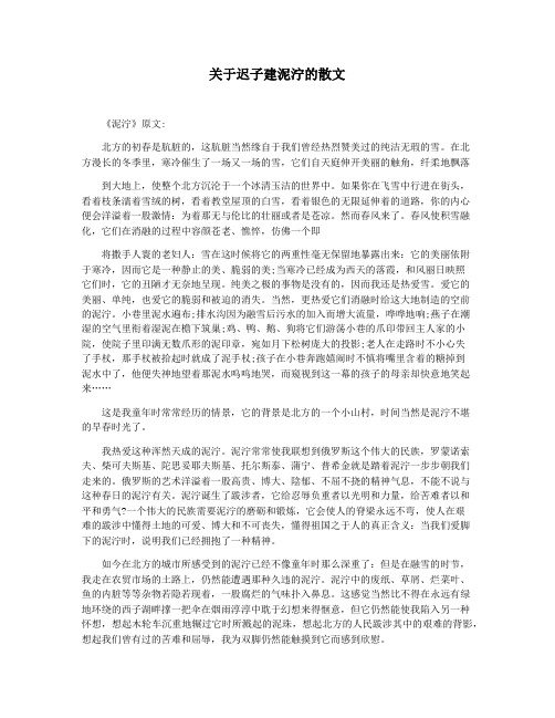 关于迟子建泥泞的散文