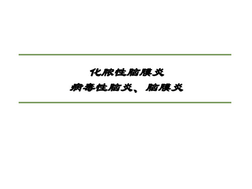 儿科学PPT课件：化脓性脑膜炎、病毒性脑炎、脑膜炎