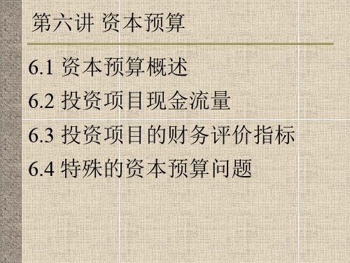 6资本预算
