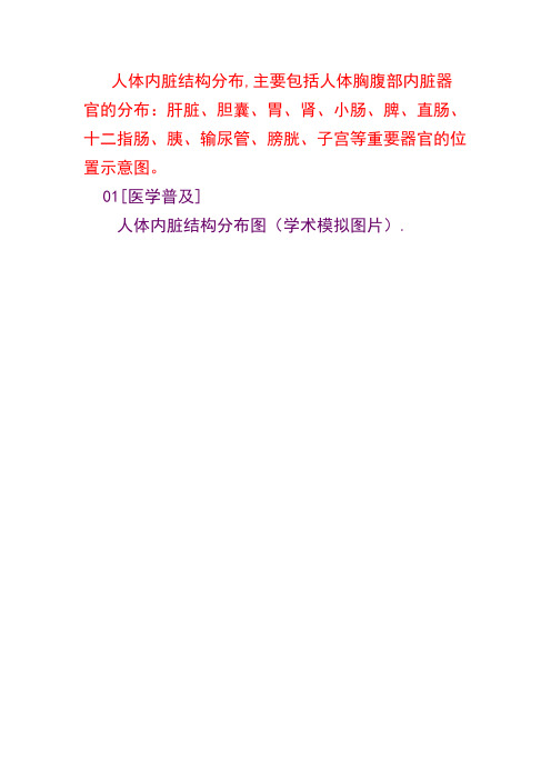 《人体内脏构图》