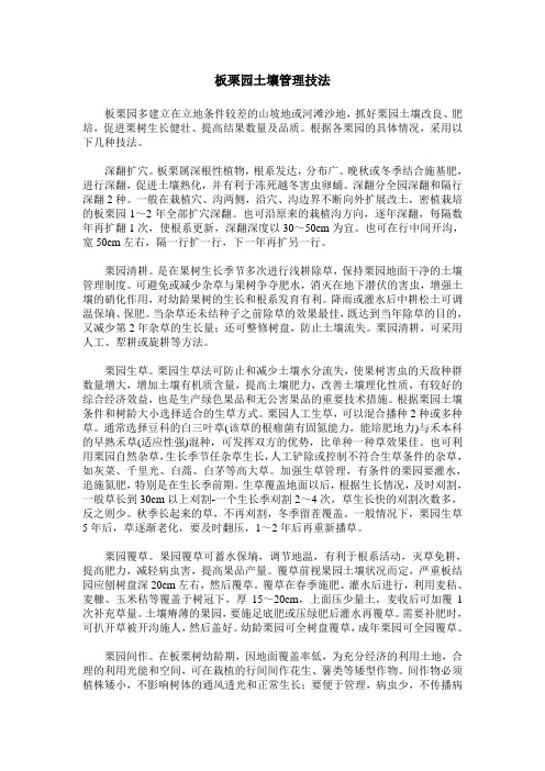 板栗园土壤管理技法