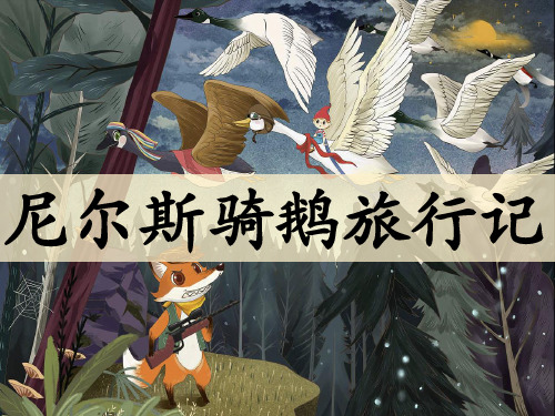 尼尔斯骑鹅历险记