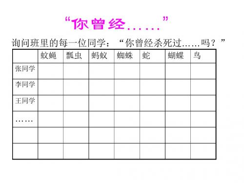 四年级科学下册1.1《你曾经……》课件3大象版