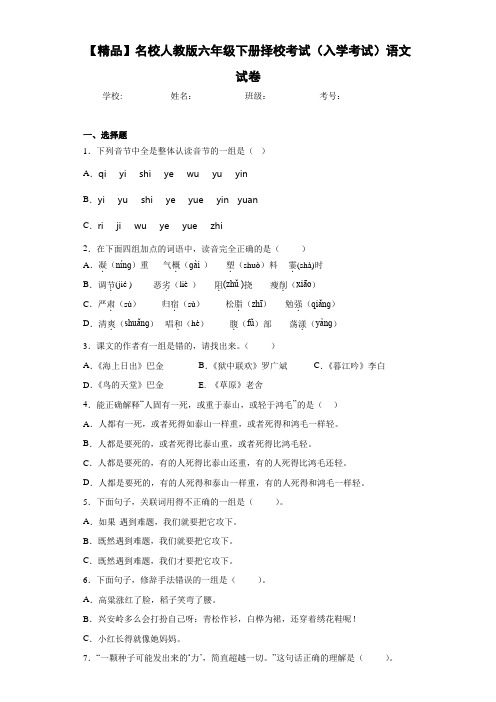 小学名校人教版六年级下册择校考试(入学考试)语文试卷(含答案解析)