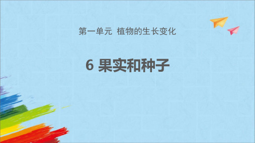 教科版四年级科学下册《果实和种子》PPT课件