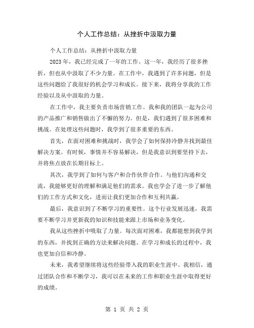个人工作总结：从挫折中汲取力量