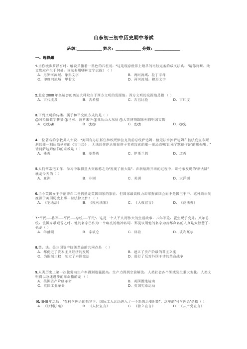 山东初三初中历史期中考试带答案解析

