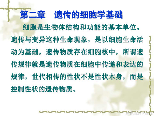 第二章 遗传细胞学基础