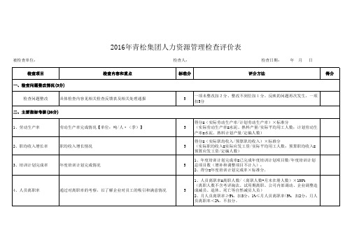 2016年青松集团人力资源管理检查评价表