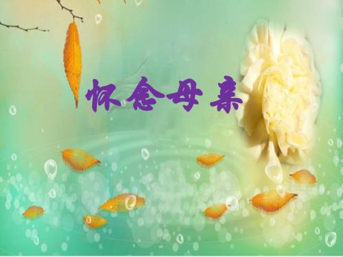 人教版小学语文六年级上册《第二组：6怀念母亲》优质
