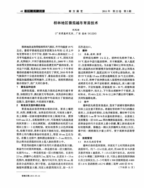 桂林地区番茄越冬育苗技术