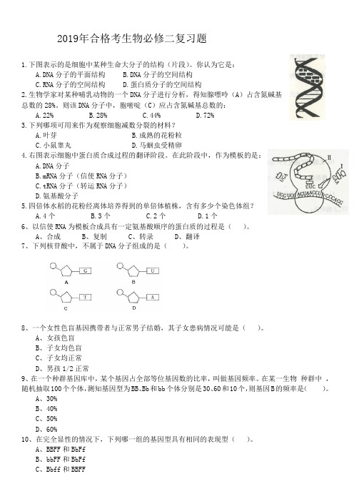 必修二2019年海南生物合格考