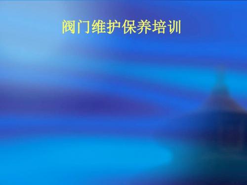 阀门维护保养培训课件(PPT 50张)
