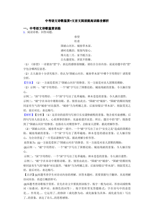 中考语文诗歌鉴赏+文言文阅读提高训练含解析 (4)