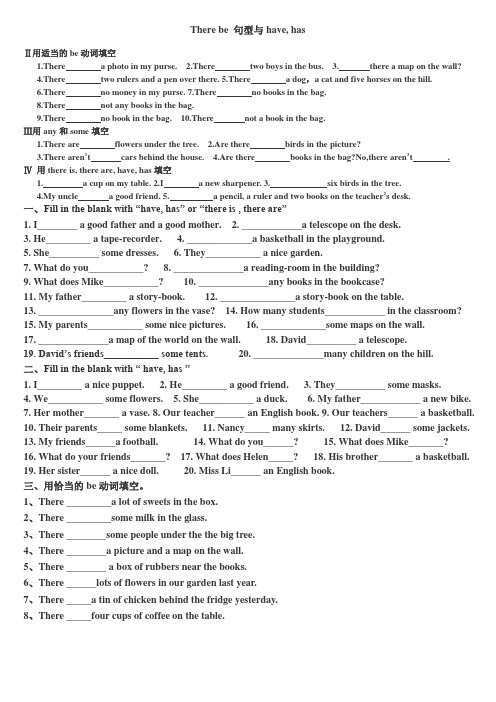 there_be与have_has用法练习