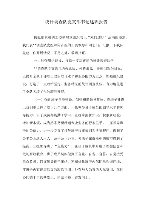 统计调查队党支部书记述职报告
