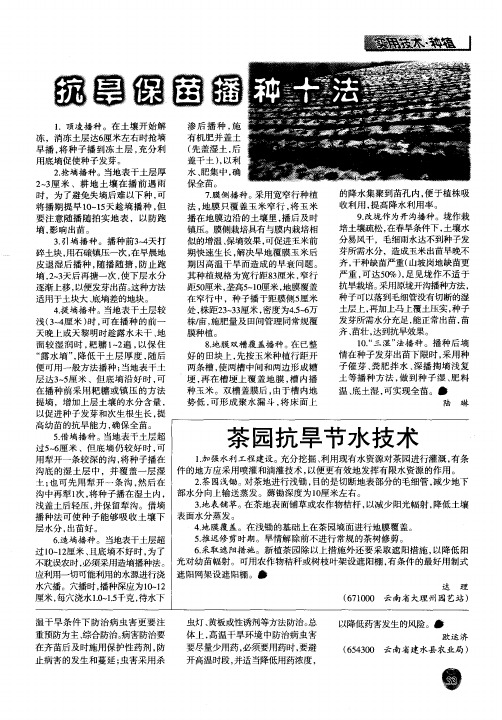 抗旱保苗播种十法