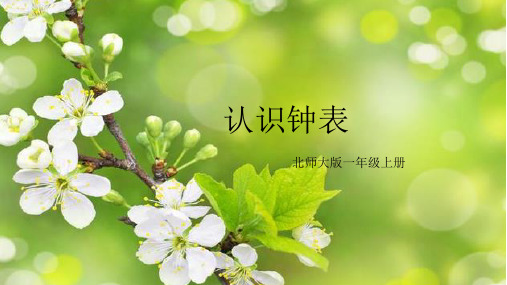 一年级上册数学课件 -8.1 认识钟表｜北师大版(2014秋) (共16张PPT)