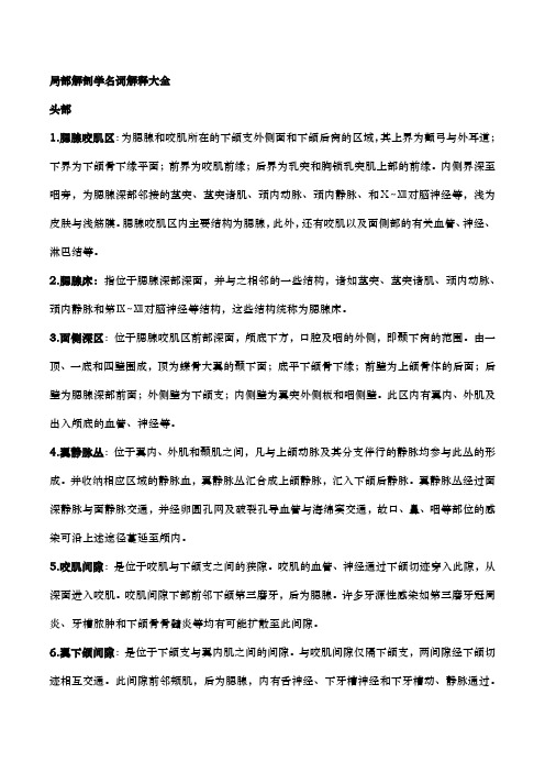 局部解剖学名词解释大全