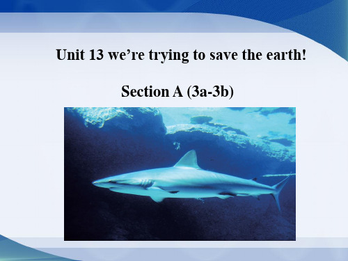 英语人教版九年级全册Unit 13 section B 3a--3b