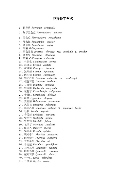 花卉拉丁学名197种