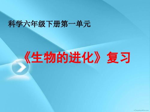 科学六下第一单元《生物的进化》复习