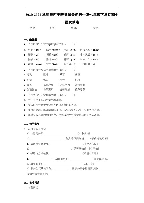 陕西宁陕县城关初级中学七年级下学期期中语文试卷