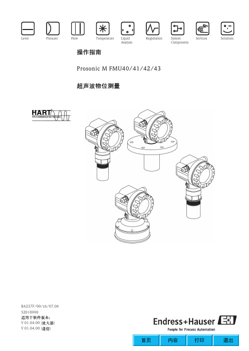 E+H 超声波液位计说明书