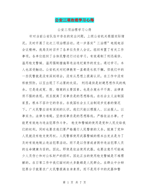 公安三项治理学习心得