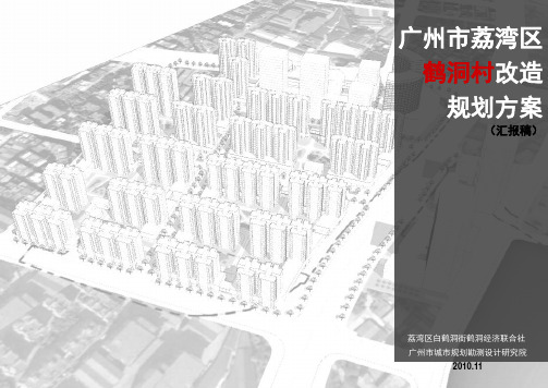 鹤洞村改造规划