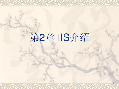 1 第2章 IIS介绍
