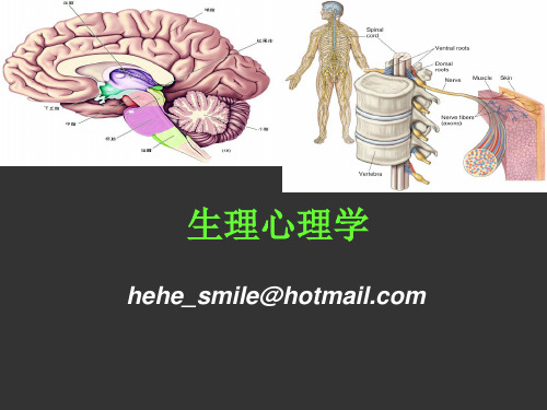 生理心理学第一章绪论