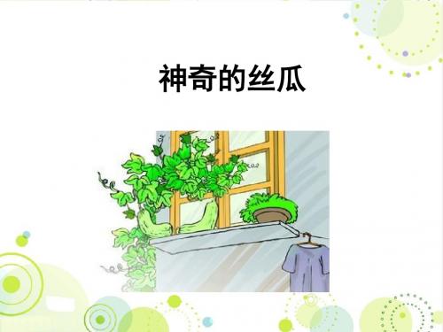 最新西师大版六年级语文下册《神奇的丝瓜》公开课精品课件